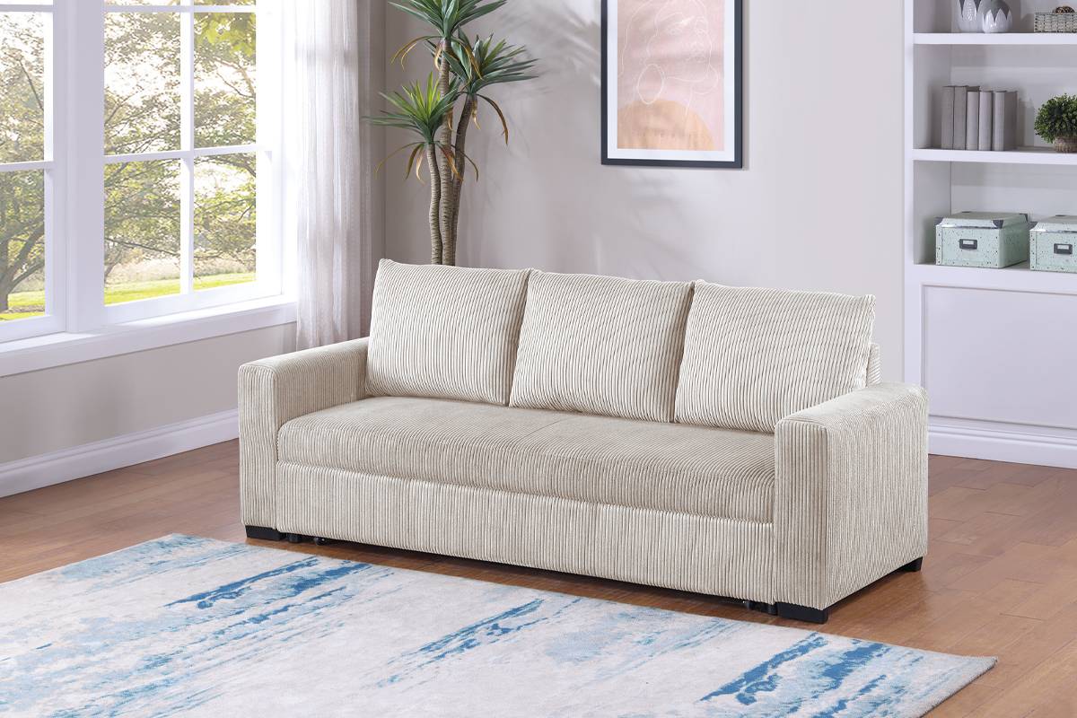 Sofa with Pull-Out Sleeper